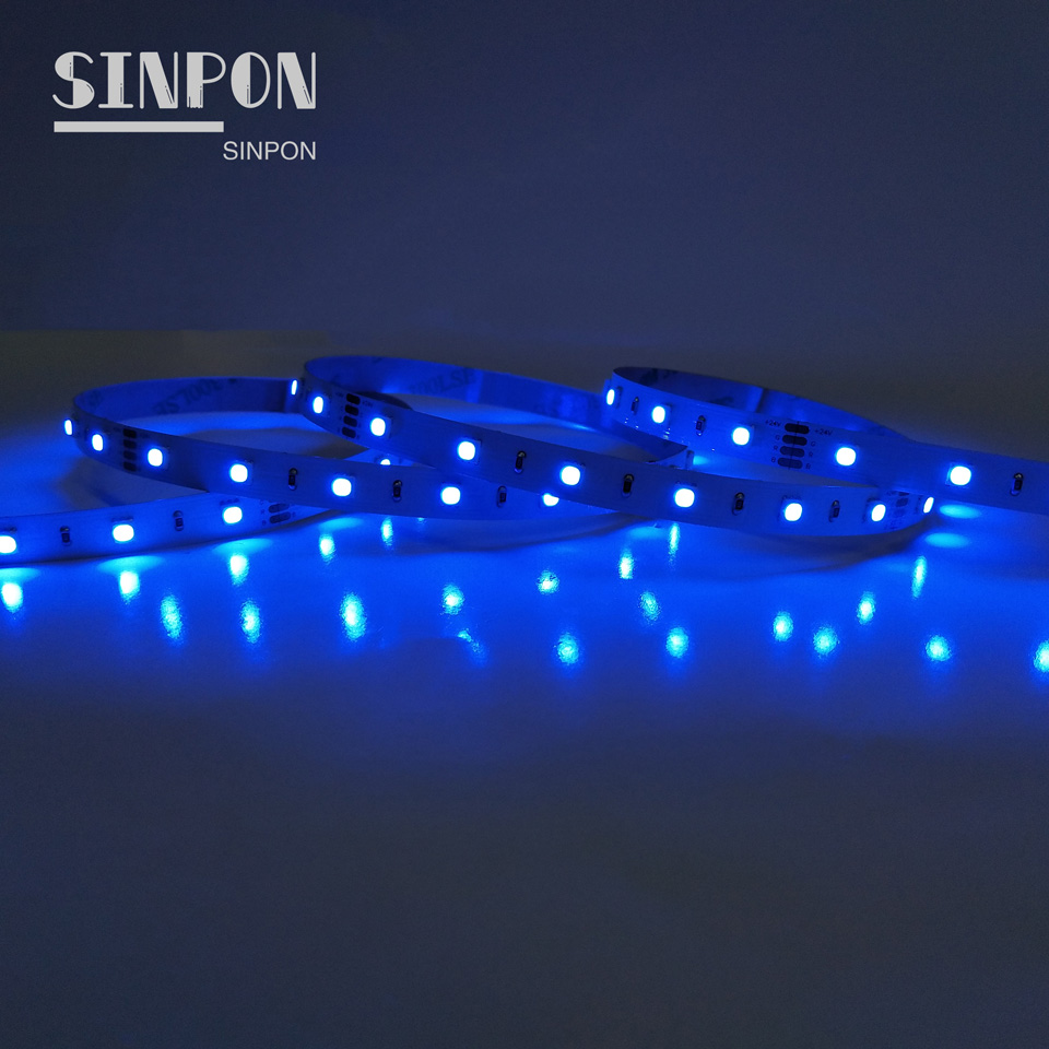 60LEDS