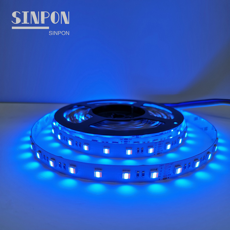 RGBWW/60LEDS/24V